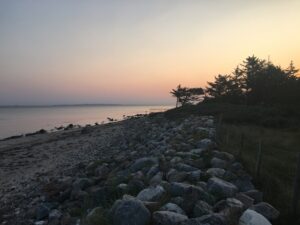 IMG 3513